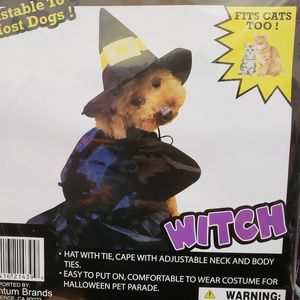 Witch Costume for Dogs